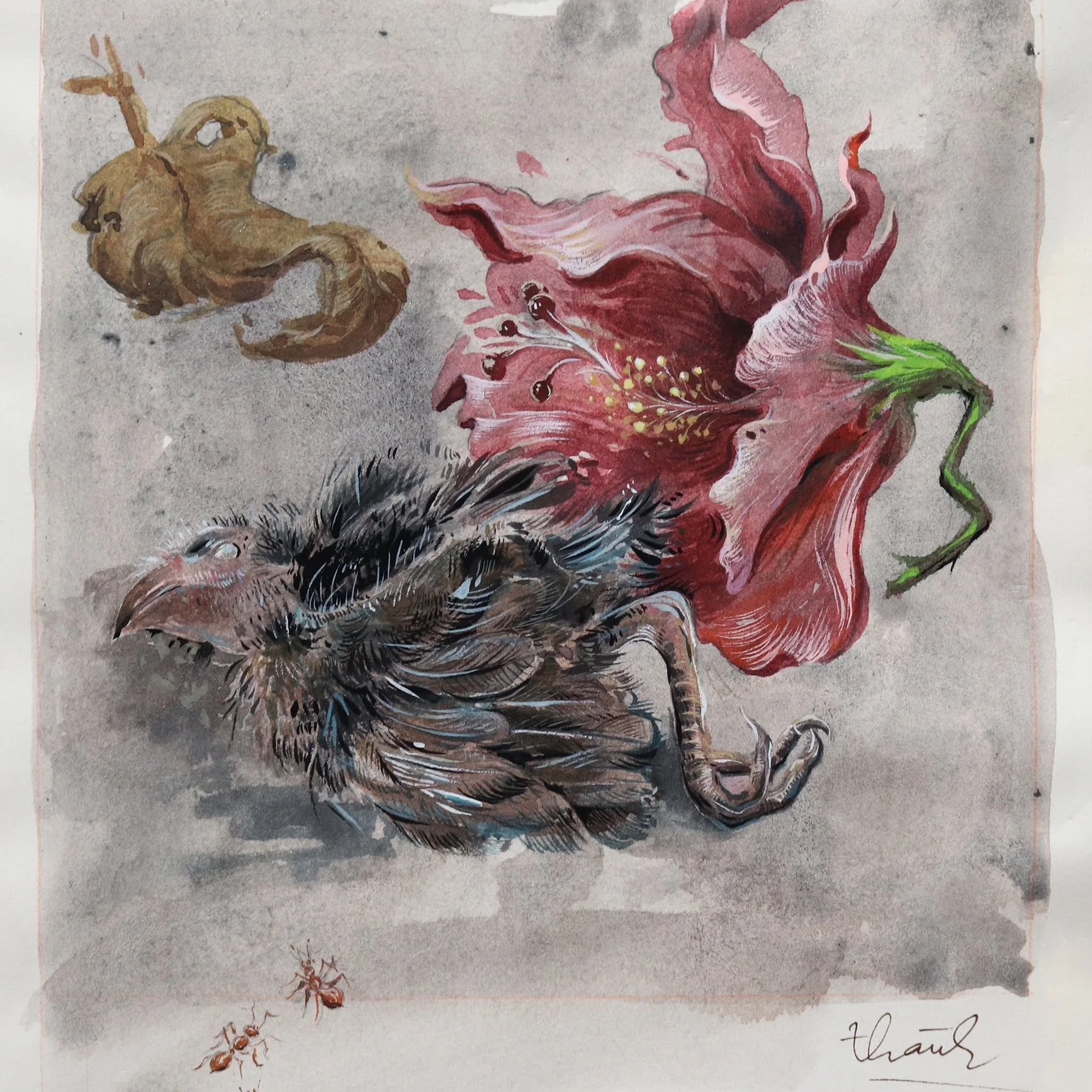 Open sketchbook with expressive natural form studies