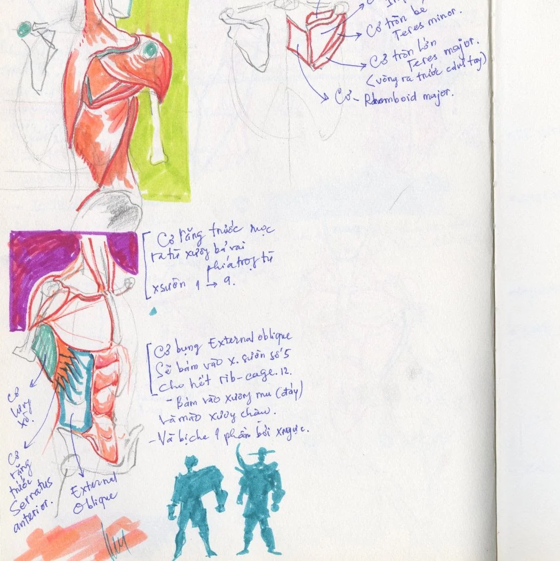 Sketchbook Study 15 by Thanh Do (Sketchbook)
