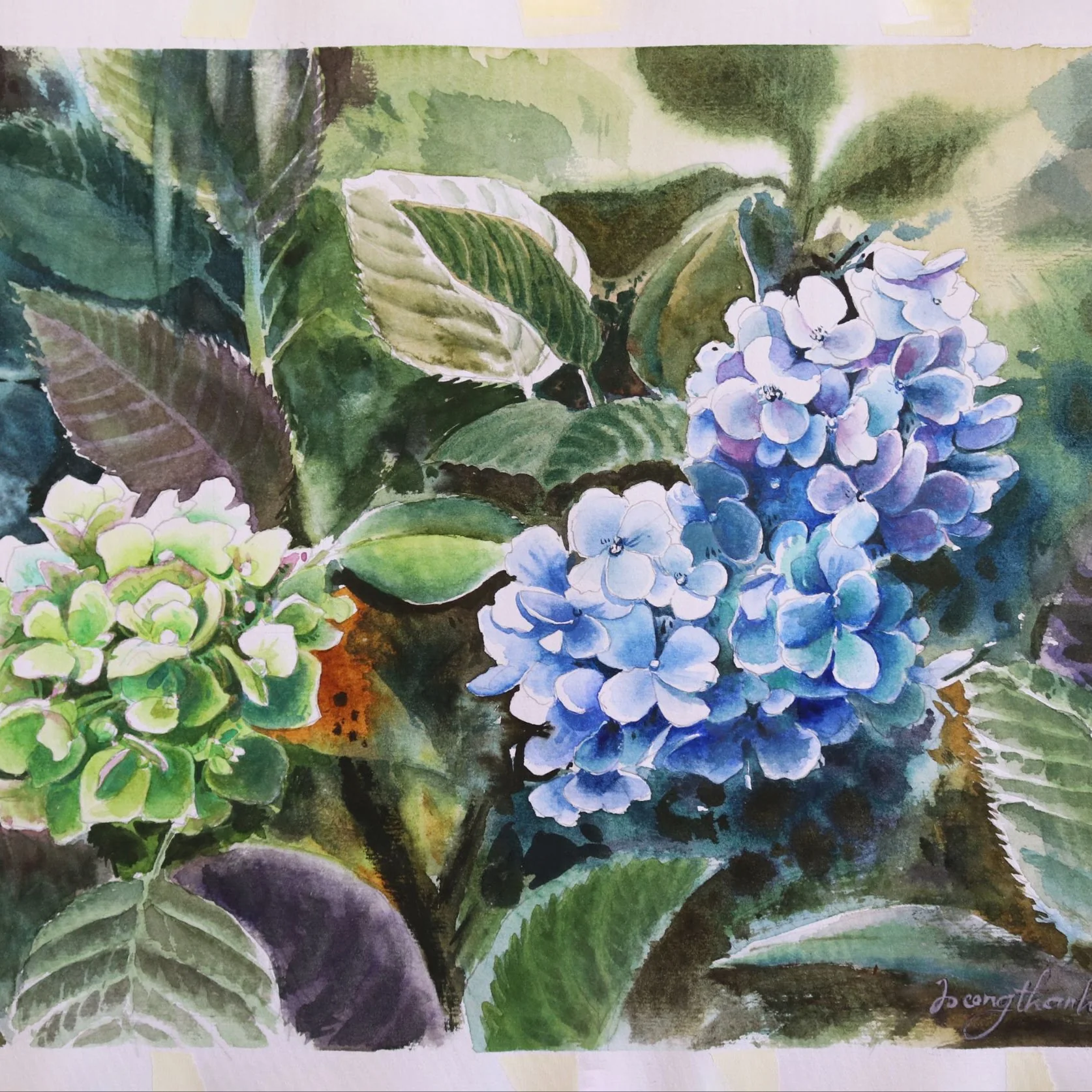 Watercolor Study 28 by Thanh Do (Watercolor)